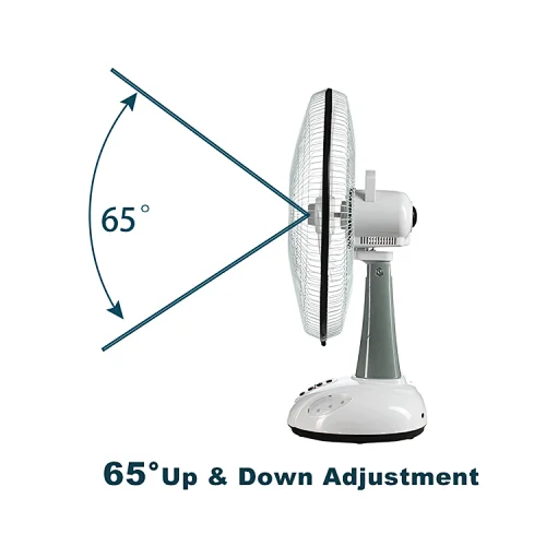12" battery operated fan