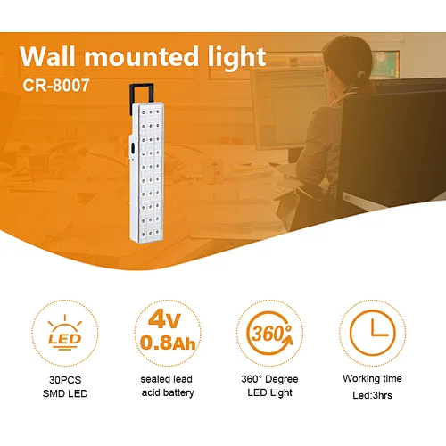 wall mounted light