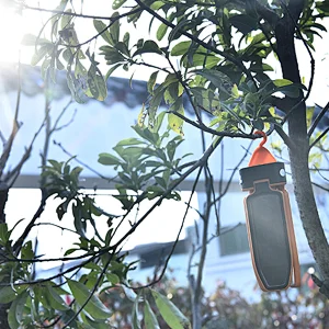 led camping lantern flashlights