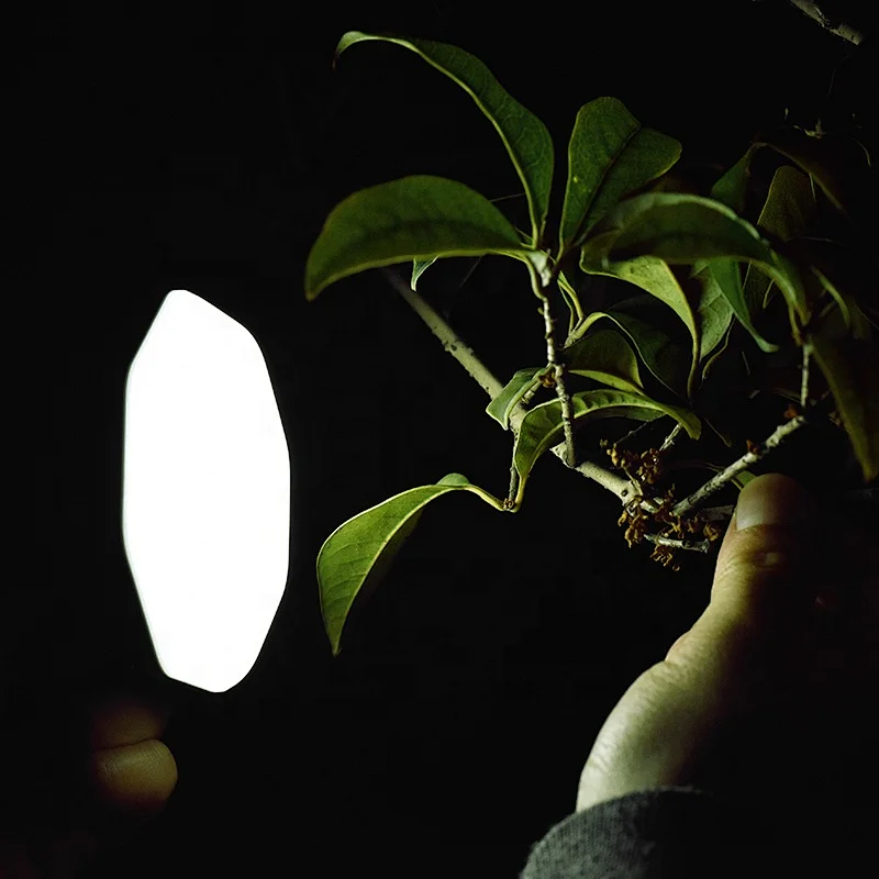 solar powered tent lights
