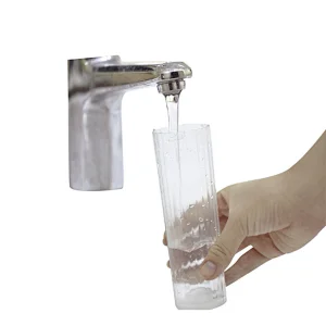 portable personal bidet