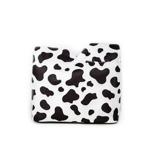 lady bag