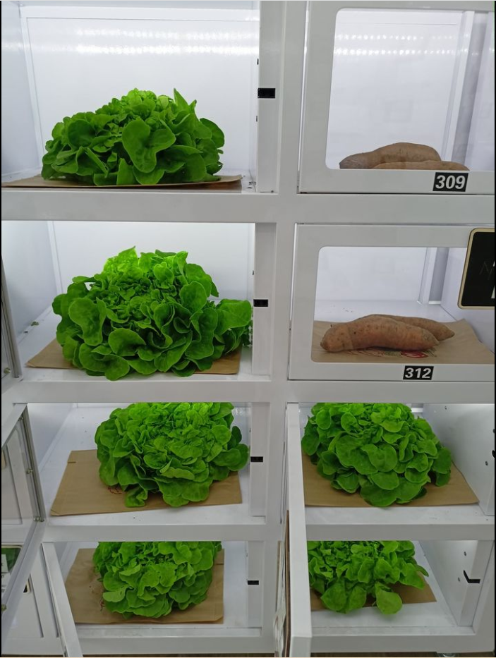 Sell fresh farm produce in vending locker