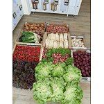 Which is the best Farm produce vending solution? Cooling vending locker or Smart fridge vending machine. 2022.12.6