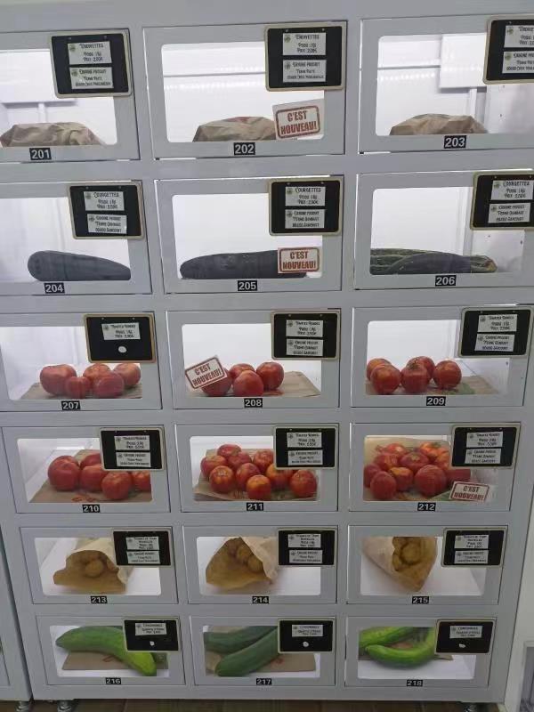 Cooling locker vending machine for selling fruit vegetable egg vending machine in unmanned retail store, micron smart vending machine manufacturer