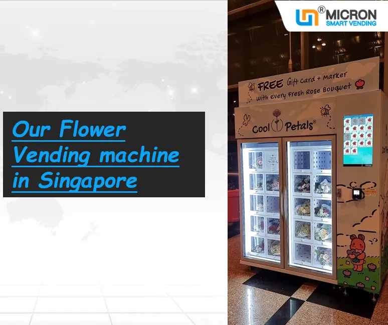 How do we know if the imported vending machine can accept local currency?