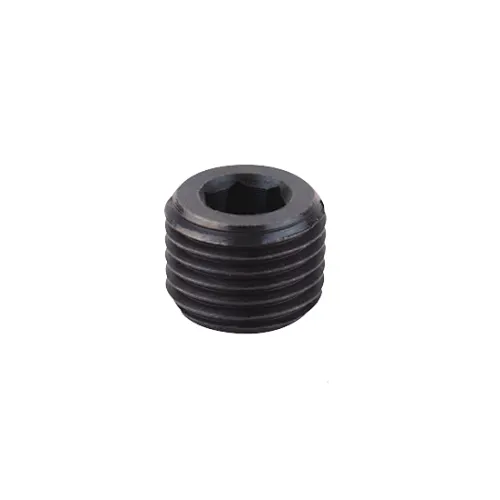 Grade 4.8 Carbon Steel Grade 8.8  Zinc Plated Screw Plugs DIN906 black coating plug