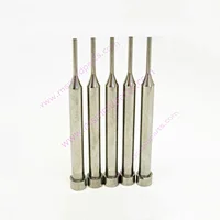 Precision Tungsten Carbide Pins Carbide Punches for Mould