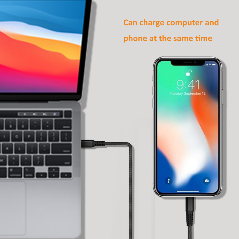 GaNFast PD 65W  Travel Charger