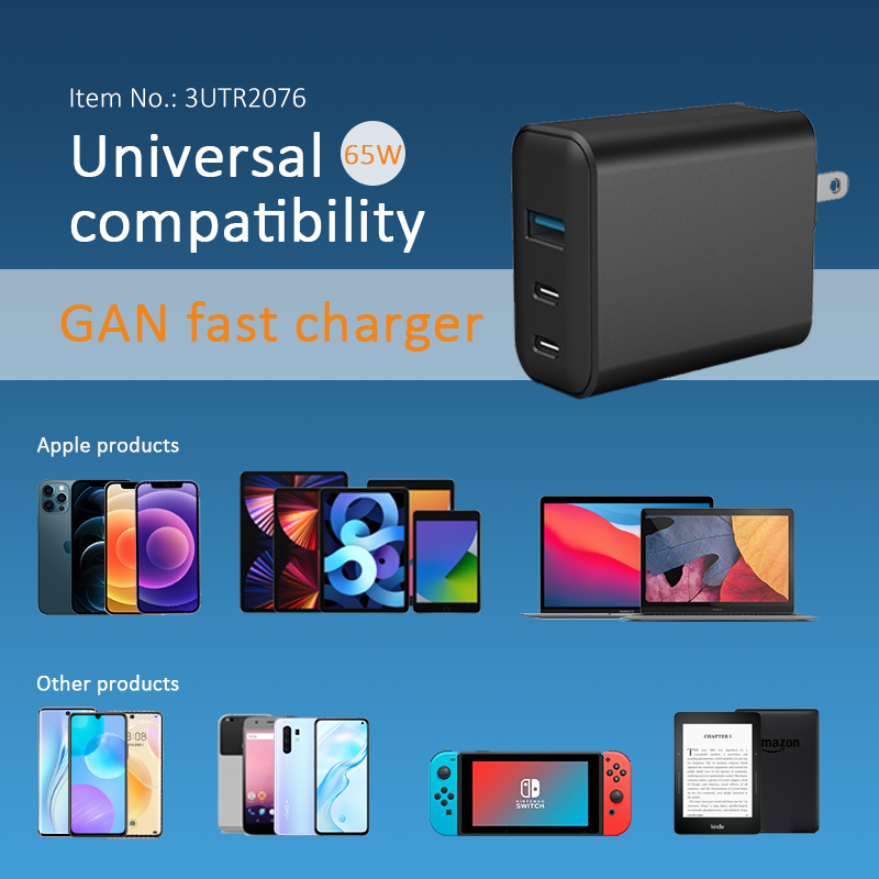 GaNFast PD 65W  Travel Charger