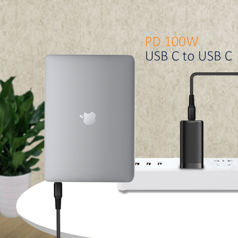 USB-C to C Cable