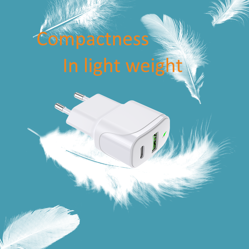 PD20W+QC18W Travel Charger