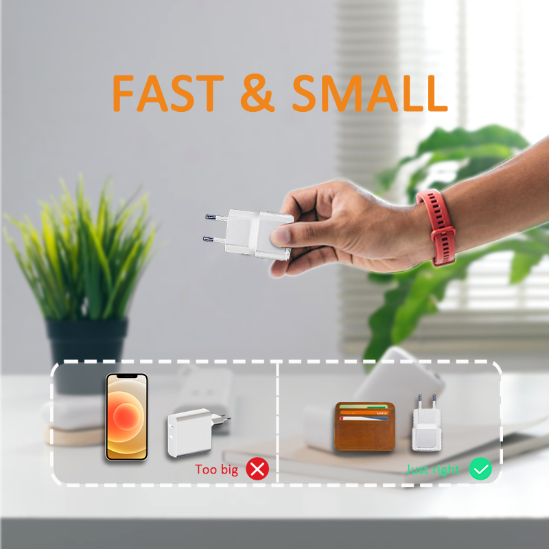 PD20W+QC18W Travel Charger
