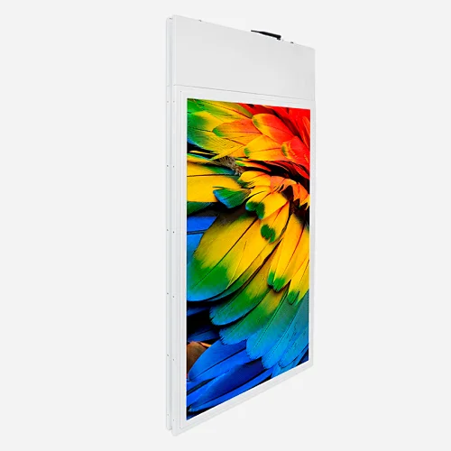 Dual View OLED signage displays