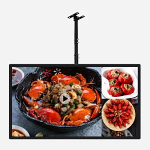 Ceiling hanging advertising machine