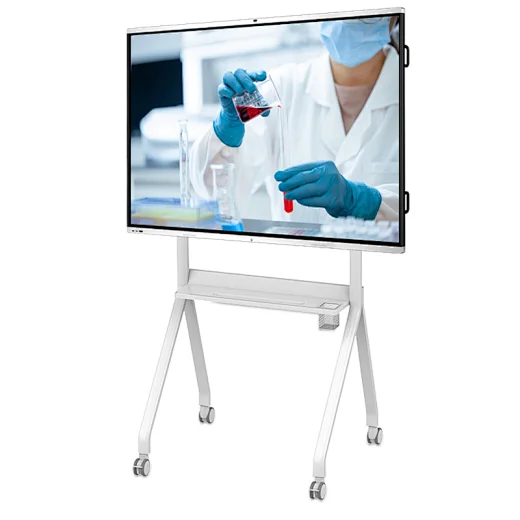 interactive whiteboard
