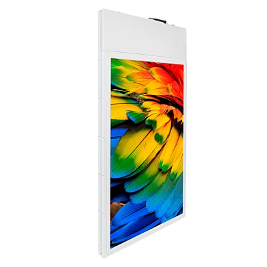 dual displays