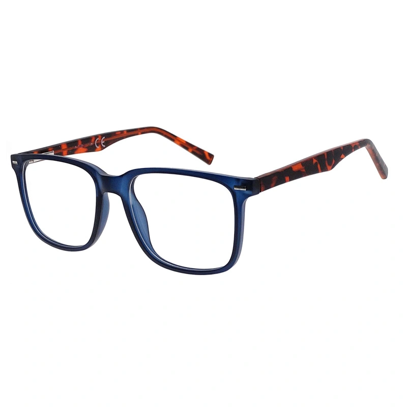 Latest Designer Eyeglass Frames