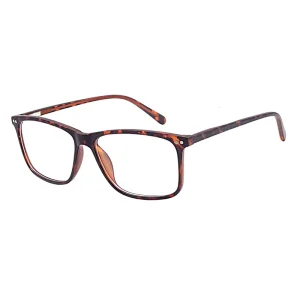 Lightweight Optical Frame