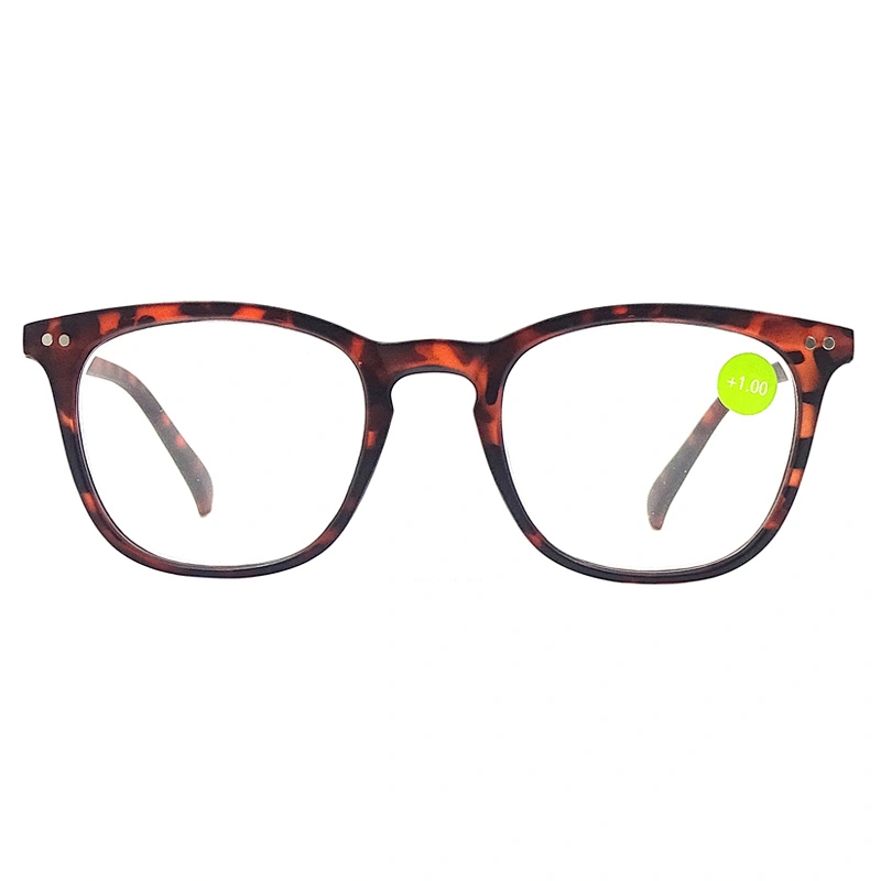 Clear Plastic Full Frame Reading Glasses