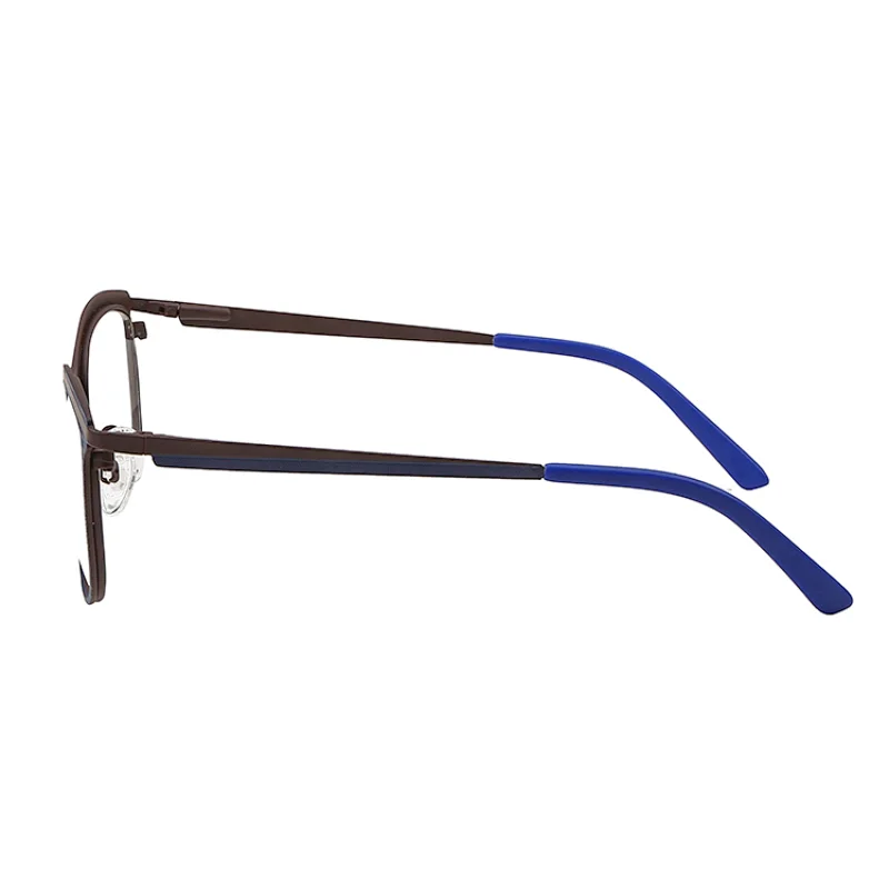 Optical Flexible Frame