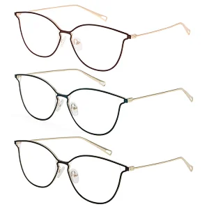 Clear Metal Glasses Frame
