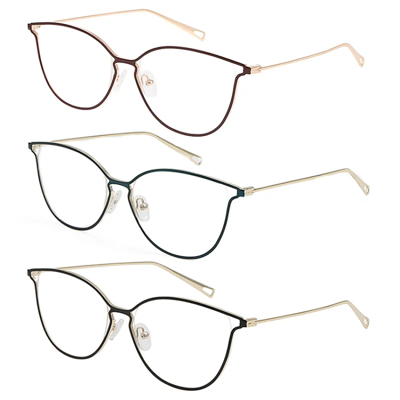 Clear Metal Glasses Frame