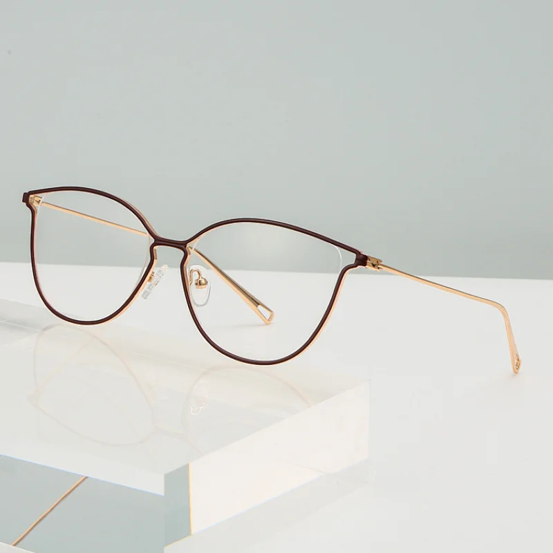 Clear Metal Glasses Frame