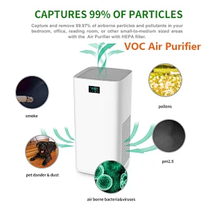 Room Ionizer Air Purifier