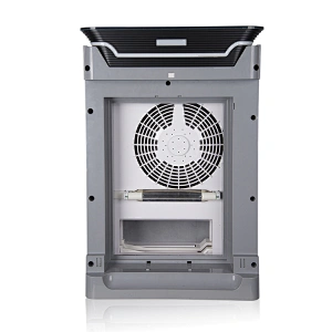 Best Air Purifier For Kitchen Smells