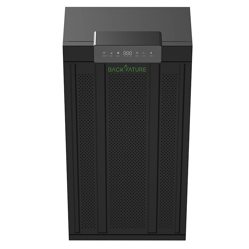 Best Air Purifier For Large Room