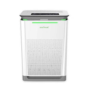 Best Air Purifier For Kitchen Smells