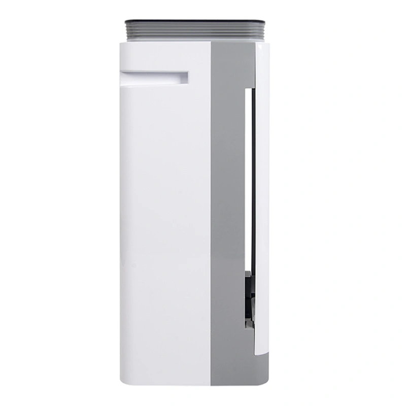 Best Air Purifier For Kitchen Smells