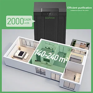 Large Room Air Purifier