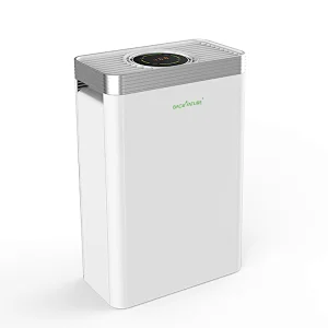 The Best HEPA Filter Air Purifier