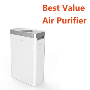 Best Value Air Purifier