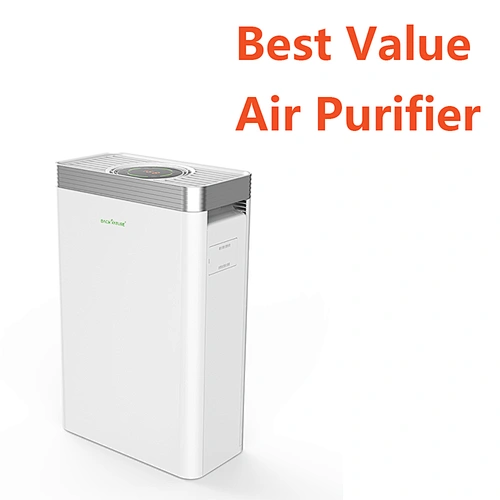 Best Value Air Purifier