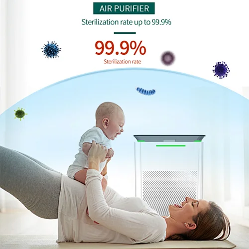 Best Air Purifier For Mold And Mildew