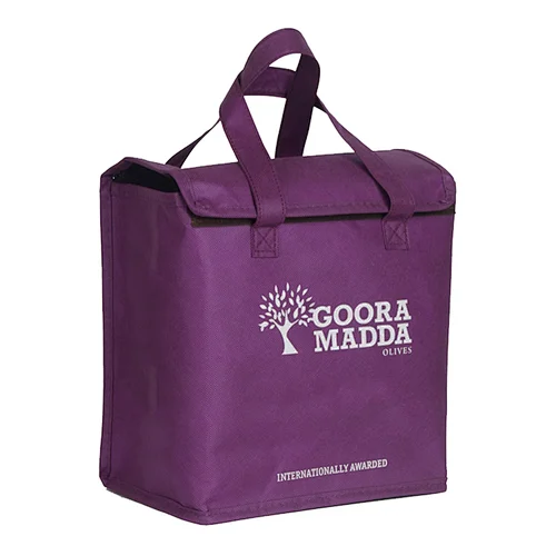 High quality custom logo insulated zipper eco friendly backpack cooler bag