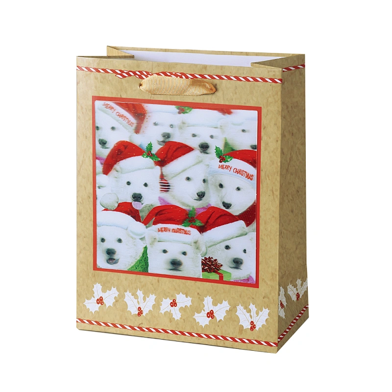 Lenticular sticker gift paper bag for packing presents