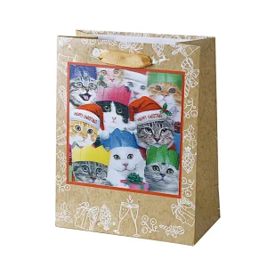 Lenticular sticker gift paper bag for packing presents