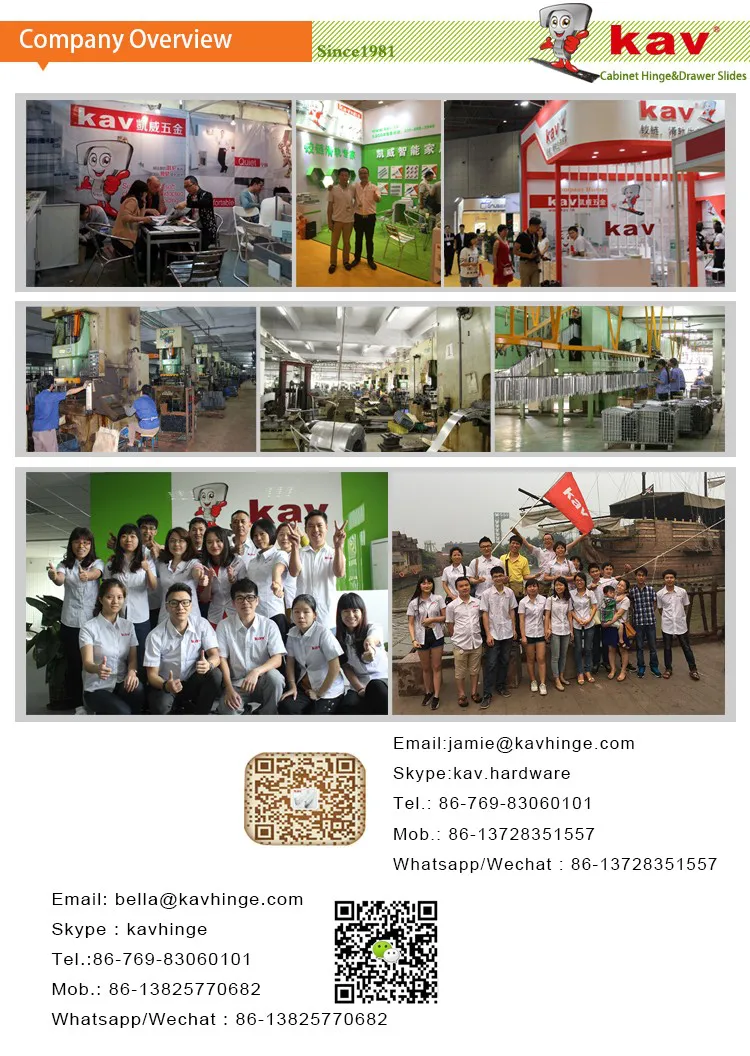 company overview.png