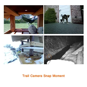 12MP 1080P digital wireless 3G hunting camera with great night vision