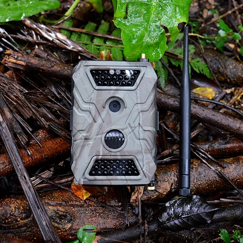 Long time recording motion detection field research site surveillance animal trace trail gprs wildlife photo trap trail camera