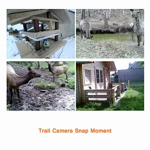 Trustful wholesale solar power wireless long range thermal forest security deer hunting 3G remote camera with sim card