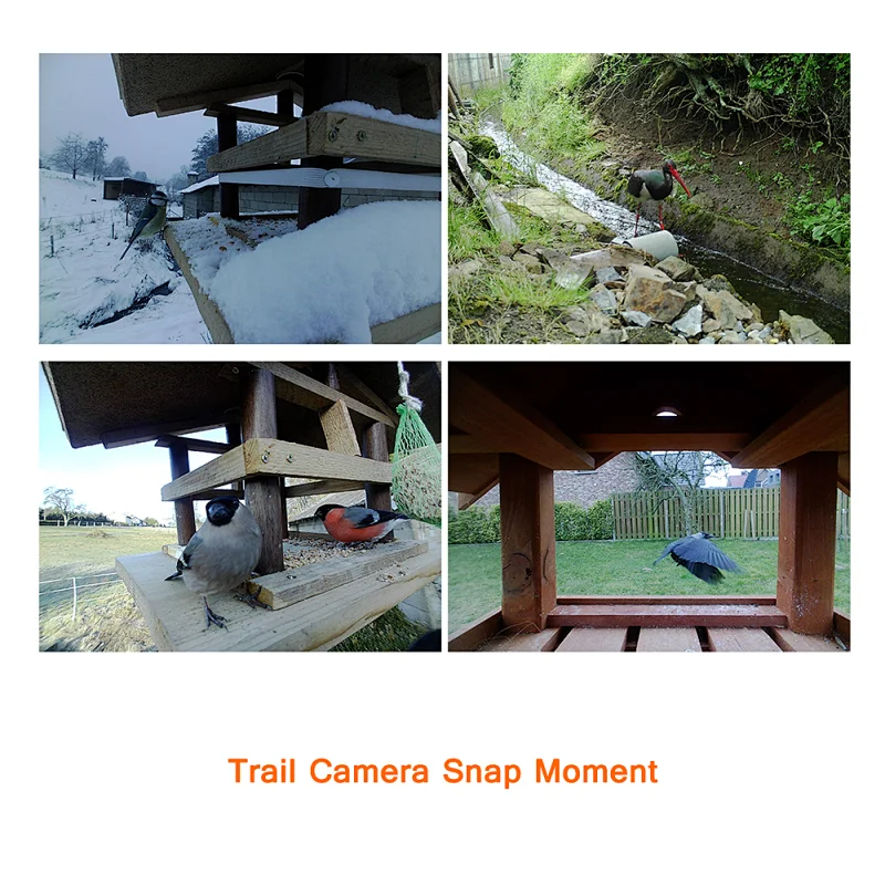 12MP 1080P digital wireless 3G hunting camera with great night vision