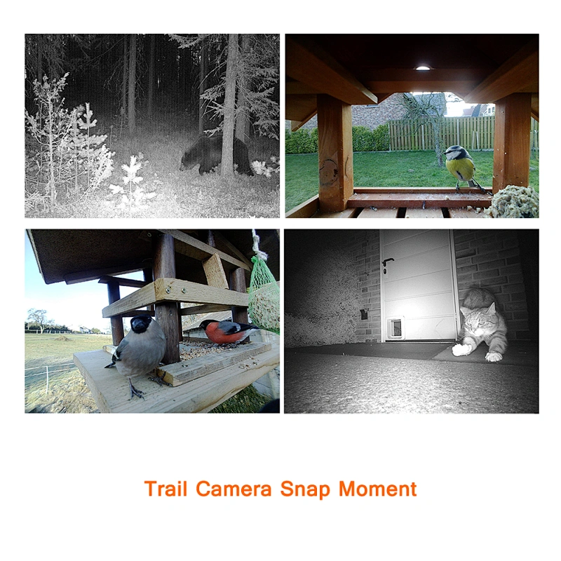 Free App SMS Remote Control No Glow Deer Spy 4G Cellular Game Camera