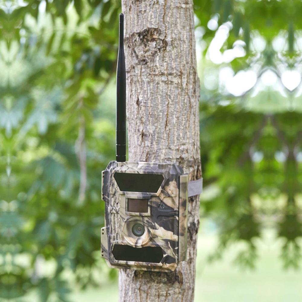 Ip sales trail camera