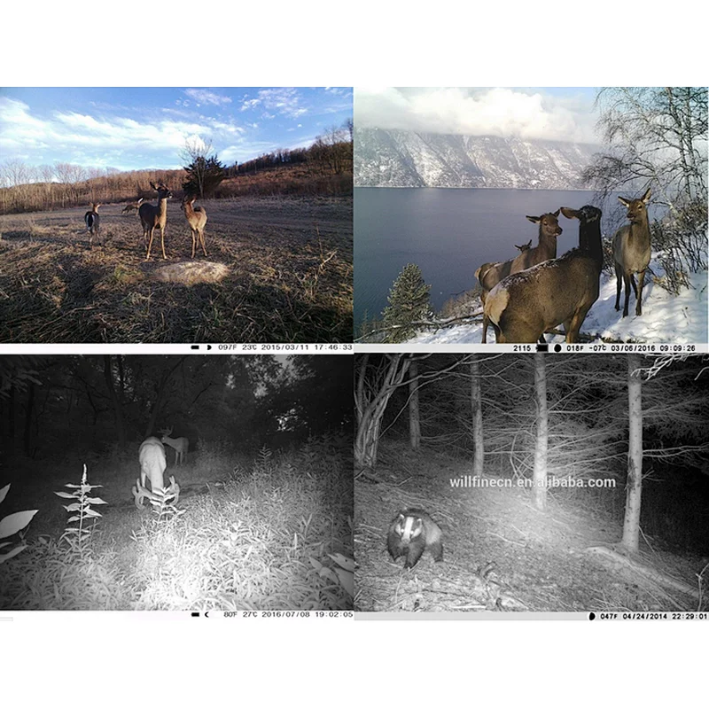 Free APP Control No Glow PIR Motion Detection Outdoor Wildlife Digital Trail Animal Camera 4G