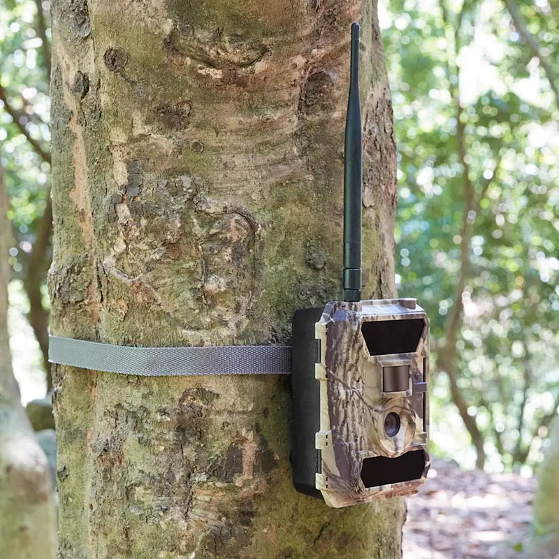 best deer camera , new trail cameras , deer camera SY Electronic